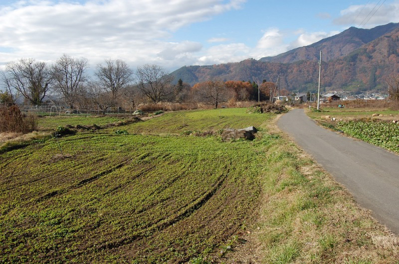 「真田氏歴史館」「御屋敷公園」のすぐそばの畑