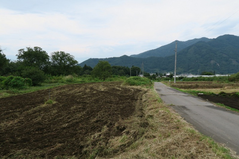 お屋敷公園から中原に降りていく縦道沿いにある畑