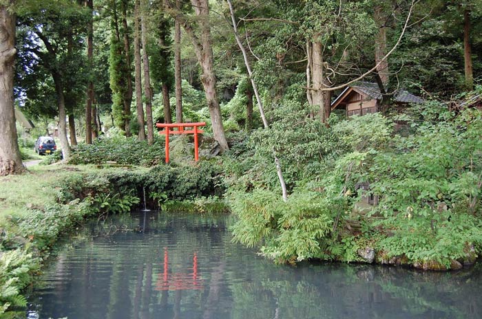 山本勘助伝説のある瀧ノ宮の池