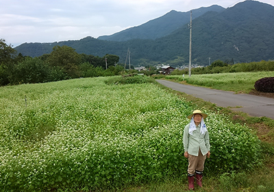 真田のソバ畑