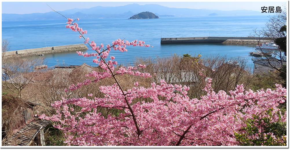 島